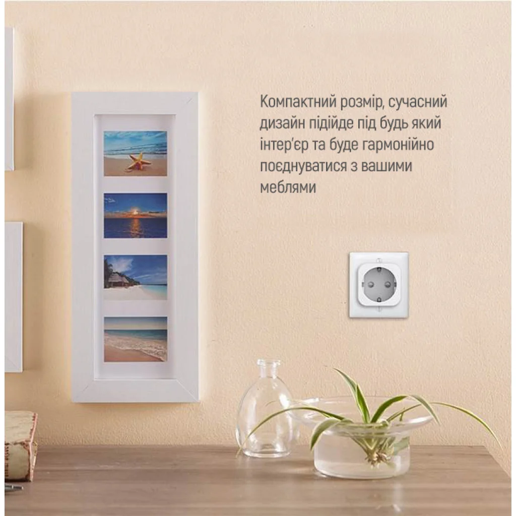 Розумна Wi-Fi розетка ColorWay одинарна (CW-SP1A-PTM)